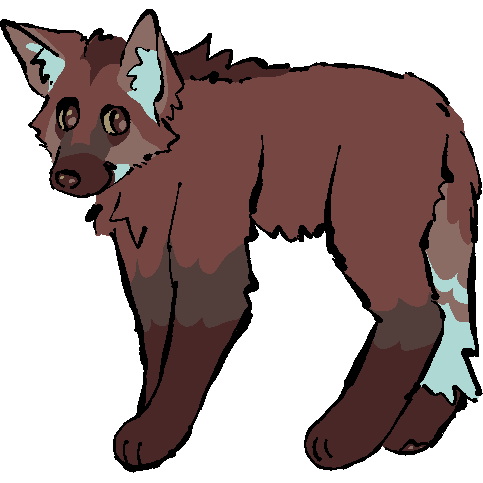 A digital illustration of a maned wolf. it is facing the left, but with face turned toward viewer.